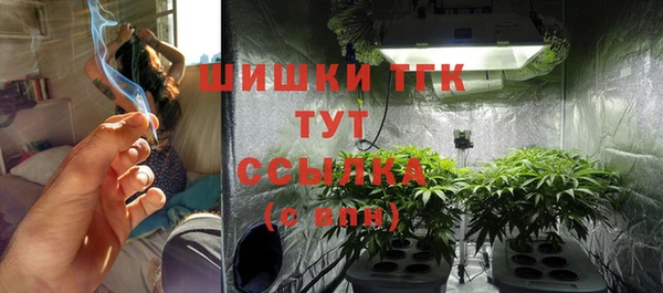 ешки Няндома