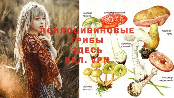 ешки Няндома