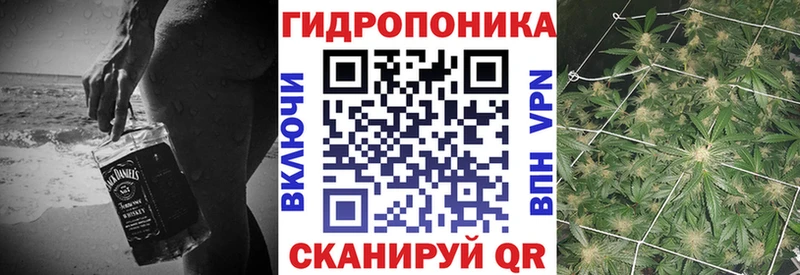 дарнет шоп  Ленск  Бошки марихуана план 